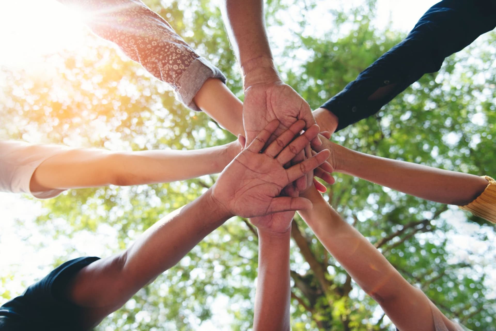 What CSR Collaborators Should Look for in an Implementation Partner